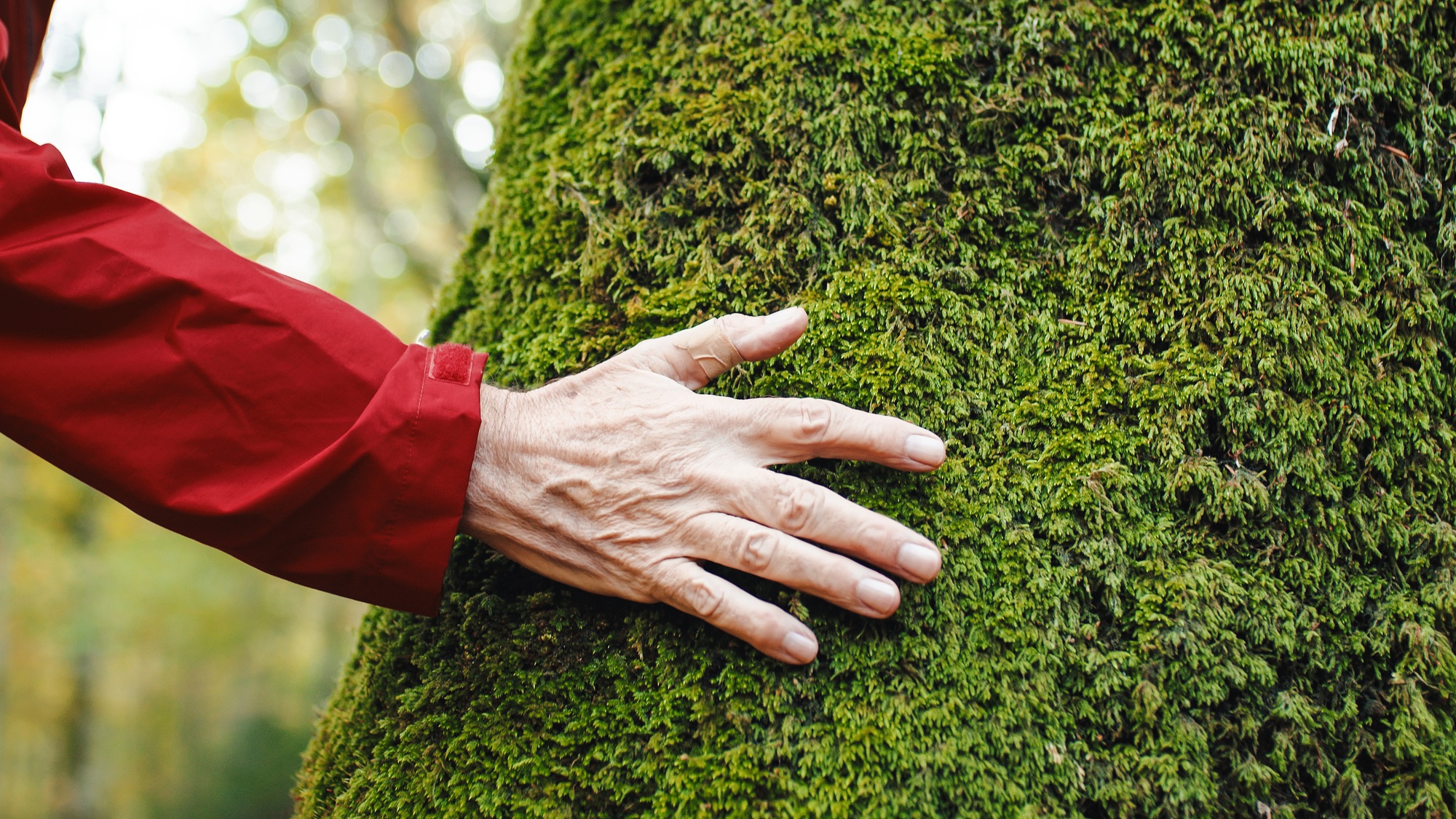 Man In Contact With Nature